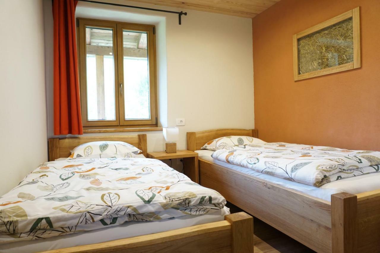 Ecohouse Furlan - Apartment Pinja كوباريد المظهر الخارجي الصورة