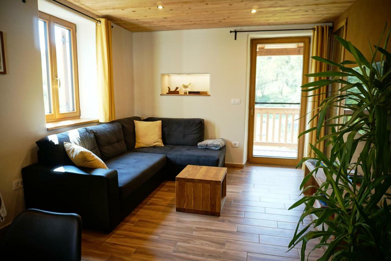 Ecohouse Furlan - Apartment Pinja كوباريد المظهر الخارجي الصورة
